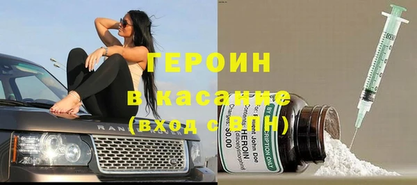 сатива Новозыбков