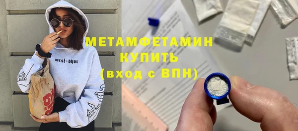 сатива Новозыбков