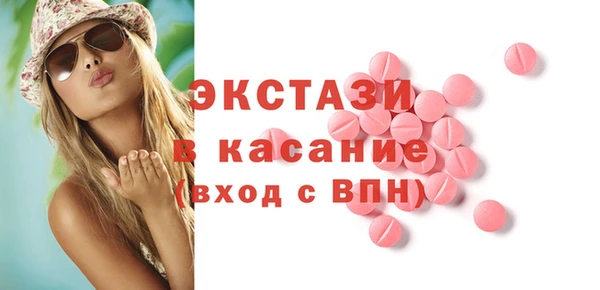 сатива Новозыбков