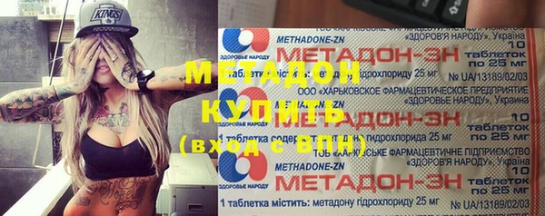 сатива Новозыбков