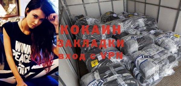 гидра Новодвинск