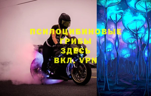 гидра Новодвинск