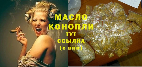 гидра Новодвинск