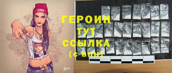 сатива Новозыбков