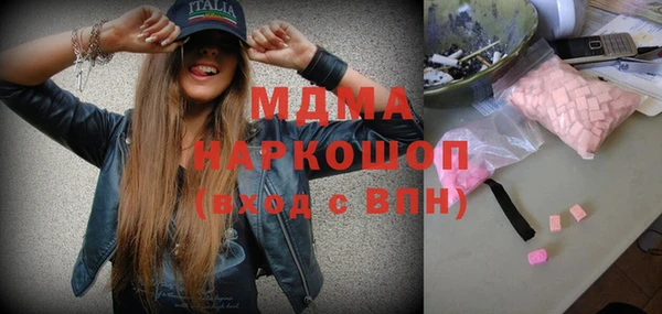 сатива Новозыбков