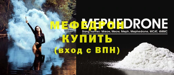 сатива Новозыбков