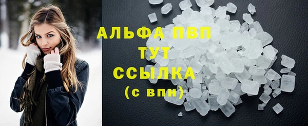 гидра Новодвинск