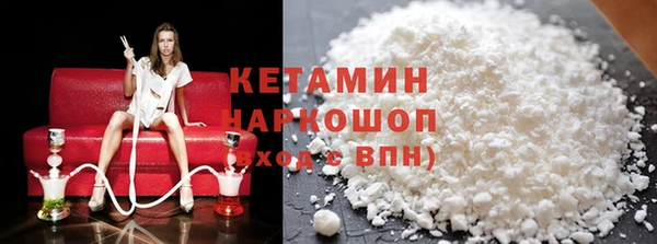 сатива Новозыбков