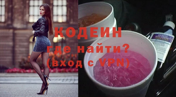 сатива Новозыбков
