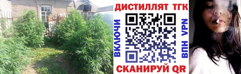 Дистиллят ТГК вейп  продажа наркотиков  Разумное 