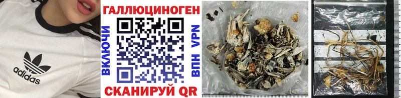 Псилоцибиновые грибы Psilocybine cubensis  OMG онион  Разумное  наркотики 